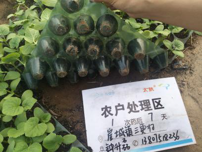 图片5.png