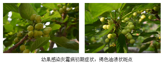 图片7.png